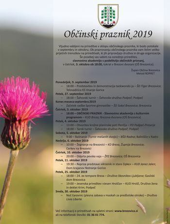 Repriza predstave »Arzenik in stare čipke«