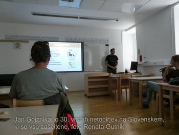 Noč netopirjev v Planini pri Rakeku