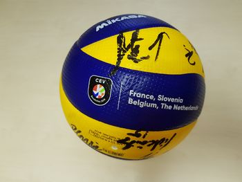 Dražba podpisane žoge srebrne slovenske odbojkarske reprezentance
