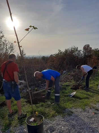 Srčna podpora lokalnih medijev v akciji Drevo za Cerje