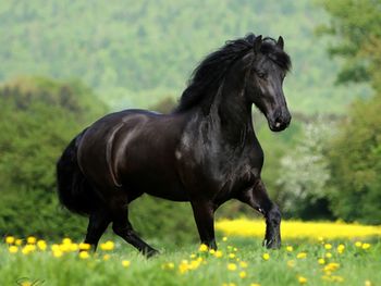 Prejeli smo: Slovenci, bodimo prijatelji!