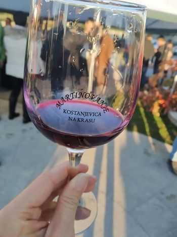 MARTINOVANJE KOSTANJEVICA NA KRASU