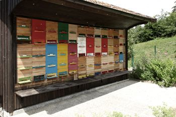 SODRAŠKA ŠOLA in VRTEC DANES V ZNAMENJU DOMAČIH DOBROT SODRAŠKA ŠOLA in VRTEC DANES V ZNAMENJU DOMAČIH DOBROT