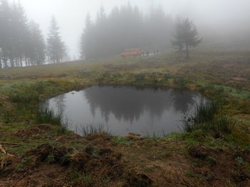 Fotoreportaža: PD na Lepenatki in Rogatcu 10. 11. 2019                        