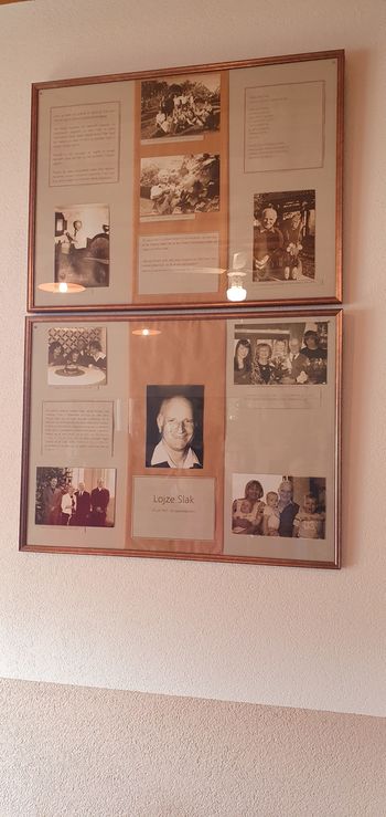 MARTINOVANJE V DEŽELI LOJZETA SLAKA