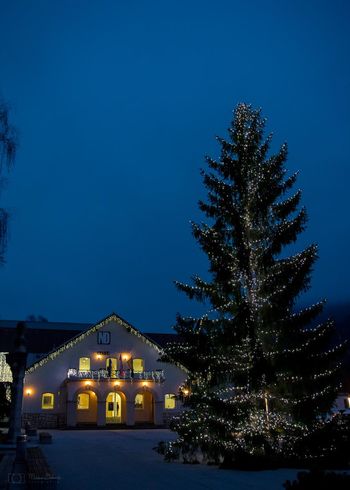 VOŠČILO