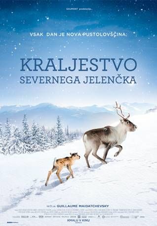 KINO BEVKE V NOVO LETO S FILMSKIMI PODOBAMI NARAVE