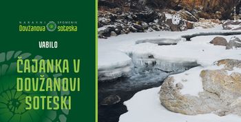 Čajanka v Dovžanovi soteski