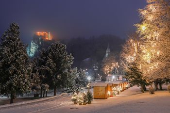 Bled v snegu