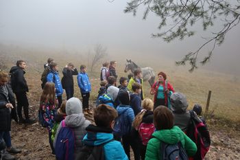 Tabor za nadarjene in  radovedne učence OŠ Preddvor