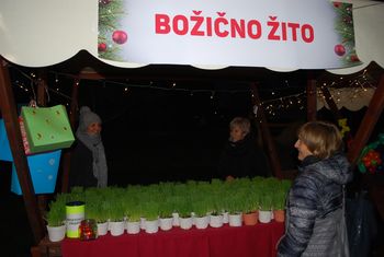 12. tradicionalni dobrodelni bazar 