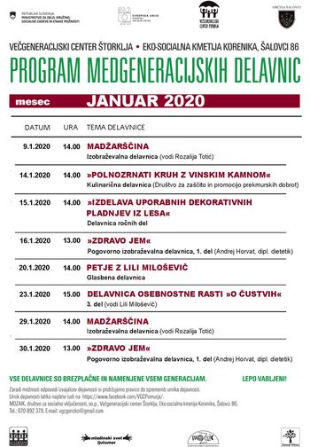 PROGRAM VGC ŠTORKLJA V JANUARJU 2020