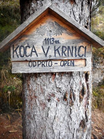 FOTOREPORTAŽA : PD na poti do Koče v Krnici 26.1.2020                        