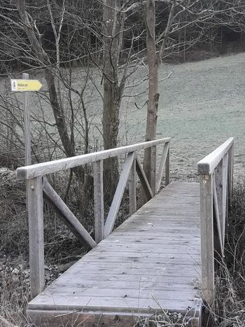 TRADICIONALNI POHOD PO MEŠKOVI POTI