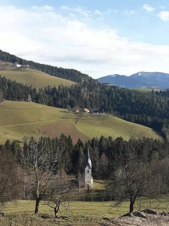 TRADICIONALNI POHOD PO MEŠKOVI POTI