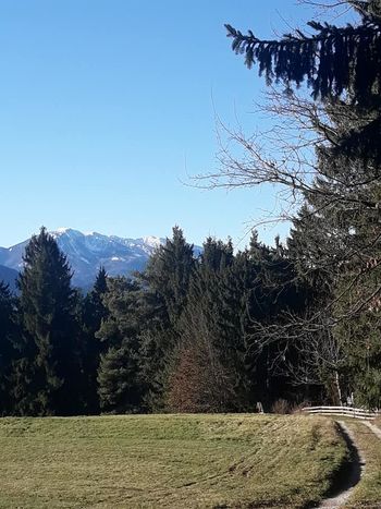 TRADICIONALNI POHOD PO MEŠKOVI POTI