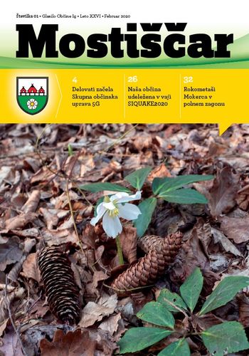 Mostiščar februar