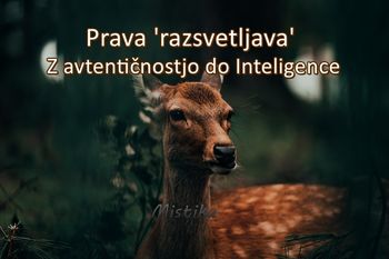 Prava 'razsvetljava