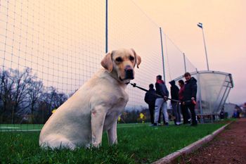 NK Dren – Vrhnika: Priprave na novo spomladanski del sezone v polnem teku
