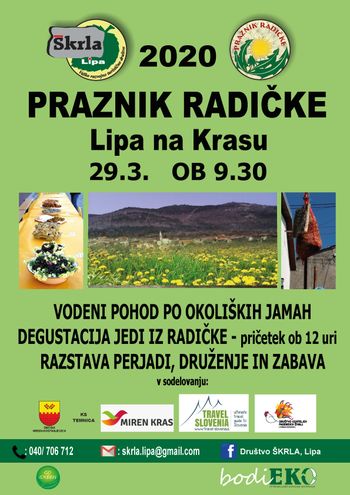 Radička, prcjunkula, žutejna... kako pa pri vas rečete regratu?