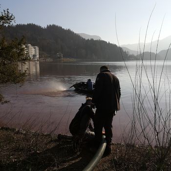 Ponovno čiščenje Blejskega jezera