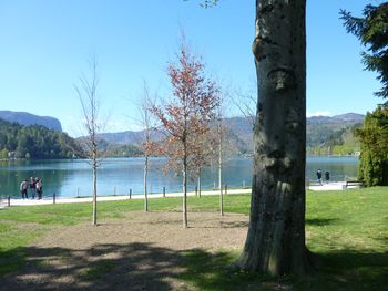 Blejsko jezero in svetovni dan voda