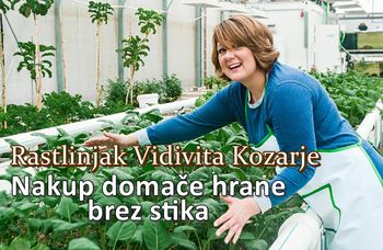 Nakup domačih pridelkov BREZ STIKA