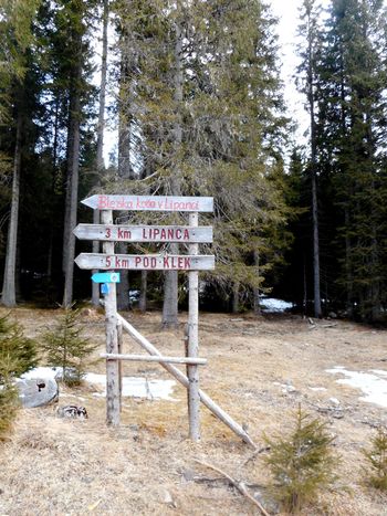 FOTOREPORTAŽA  : PD na Debeli peči 23.2.2020                  