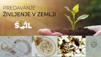 Predavanje: ŽIVLJENJE ORGANIZMOV V ZEMLJI