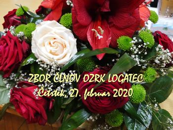 Zbor članov OZRK Logatec