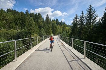 Spletna anketa - Štrekna