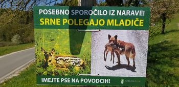 Živali v tržiških gozdovih potrebujejo mir – držimo se urejenih in označenih poti