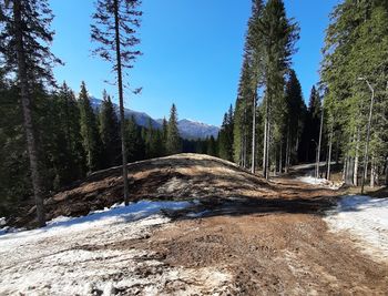 Opravljen spomladanski del priprav na IBU svetovno prvenstvo v biatlonu 2021 Pokljuka, shranjenega 19.000 kubičnih metrov snega