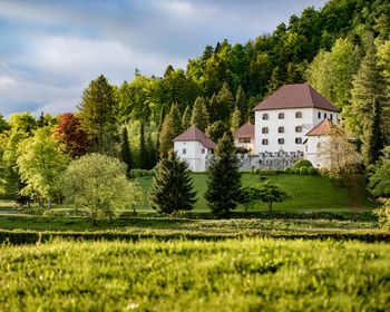 Sprehajalna rekreacijska pot pod krošnjami