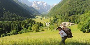 VIDEO: Čebelarski turizem