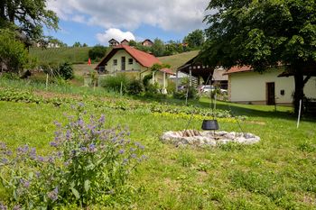 Domačija Apartma Vesel***