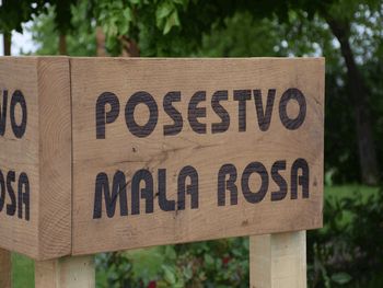 POLETJE NA POSESTVU MALA ROSA