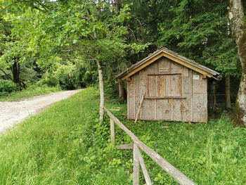 Začaran gozd na Homu med poletnimi počitnicami