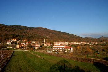Osmica Leban, Lipa, 3.7.-12.7.2020