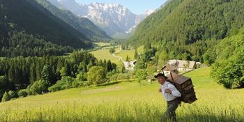 VIDEO: Čebelarski turizem