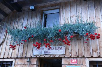 Na Planšariji Dolga njiva pripravili nepozabno večerjo pod zvezdami
