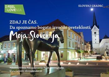 Srednjeveško mestno jedro Slovenj Gradca, avtor Tomo Jeseničnik