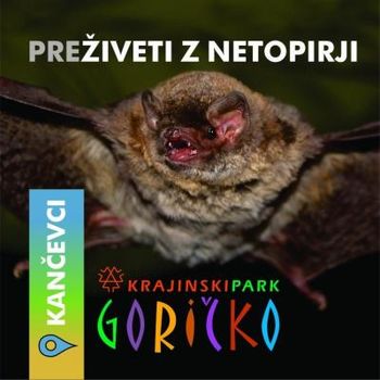 Razstava netopirjev, Kančevci 