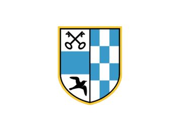 Nadomestne volitve 2020