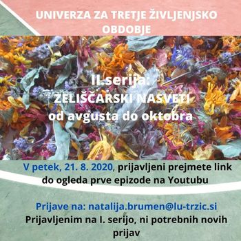 Zeliščarski nasveti z Natalijo Brumen se vračajo