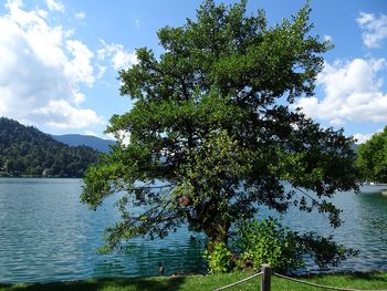 Bled slovenskim gostom ponuja najboljše, kar ima