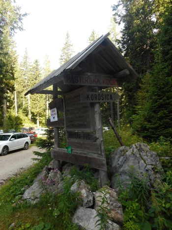 FOTOREPORTAŽA : PD na Velikem vrhu in Ojstrici 26.7.2020                        