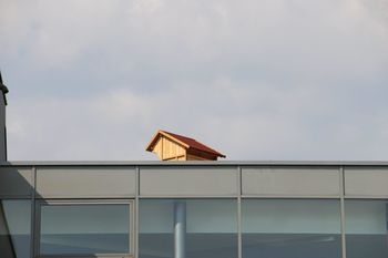In beseda je čebelnjak postala - Čebelnjak na strehi Upravnega centra Logatec