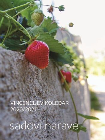 Vincencijev koledar