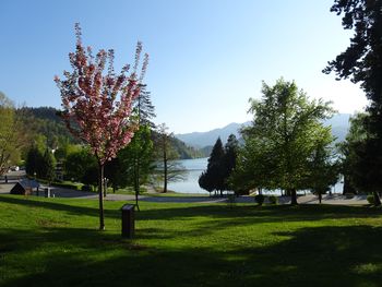  Slovenci v avgustu na Bledu opravili enajstkrat več nočitev kot lani